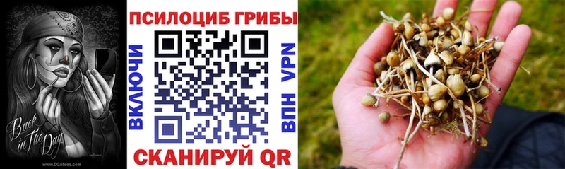 Псилоцибиновые грибы мухоморы Поворино