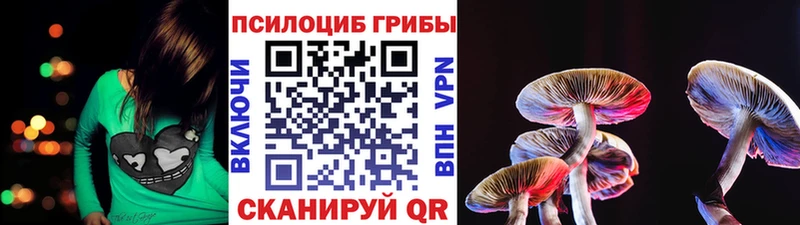 где продают наркотики  Поворино  Галлюциногенные грибы Psilocybine cubensis 